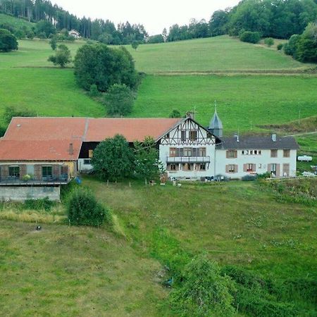 Ferme La Tourelle, Nature & Vue Exceptionnelle Sainte-Marie-aux-Mines Exterior photo
